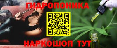гашик Малоярославец